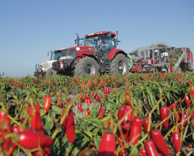 szeptember, október